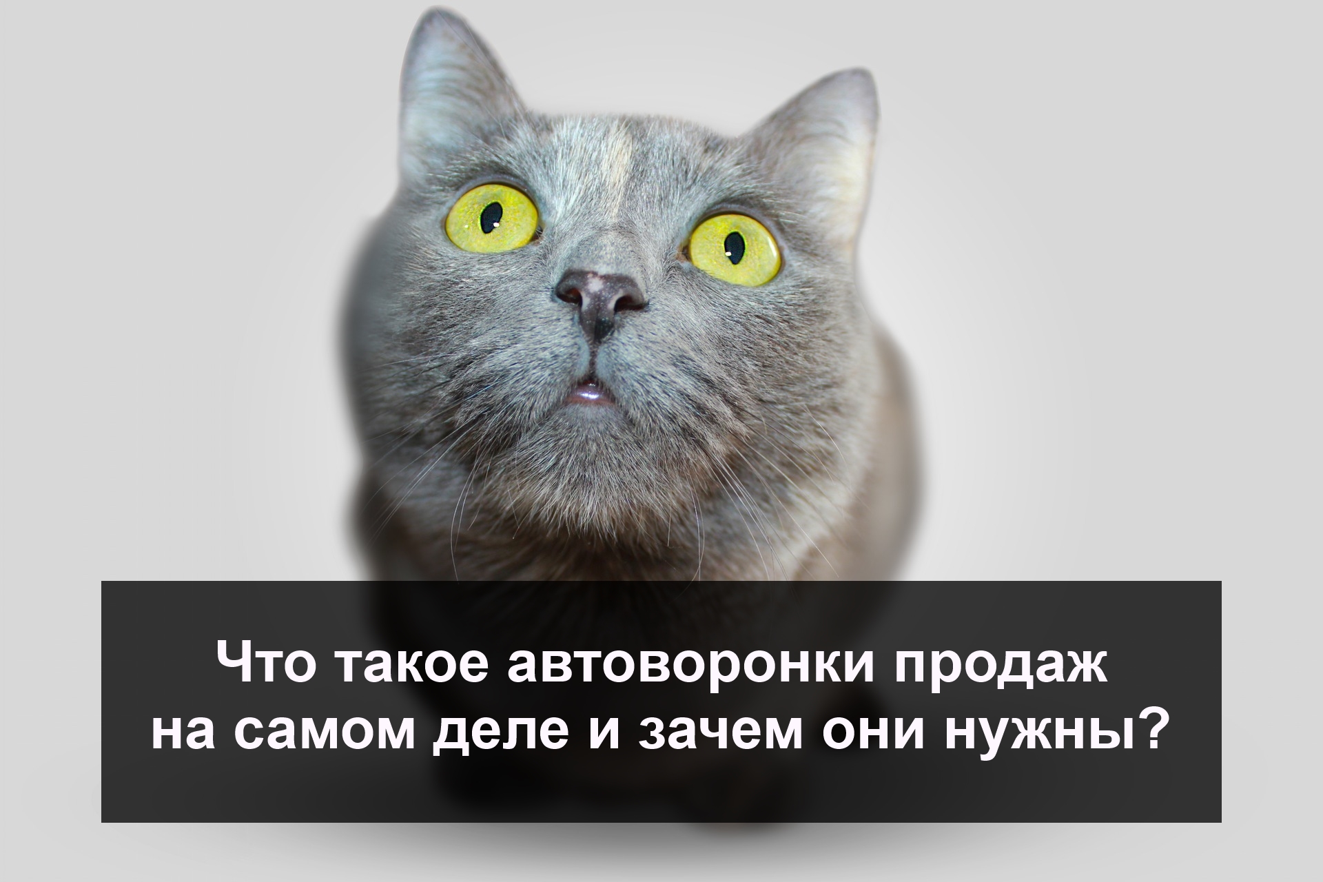 автоворонки